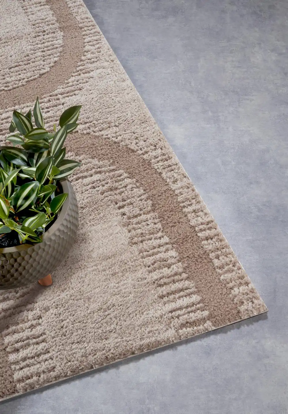 Elle Gallery 106087 Beige Rug - Image 3