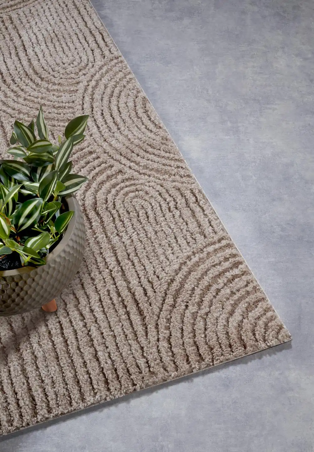 Elle Gallery 106090 Beige Rug - Image 5