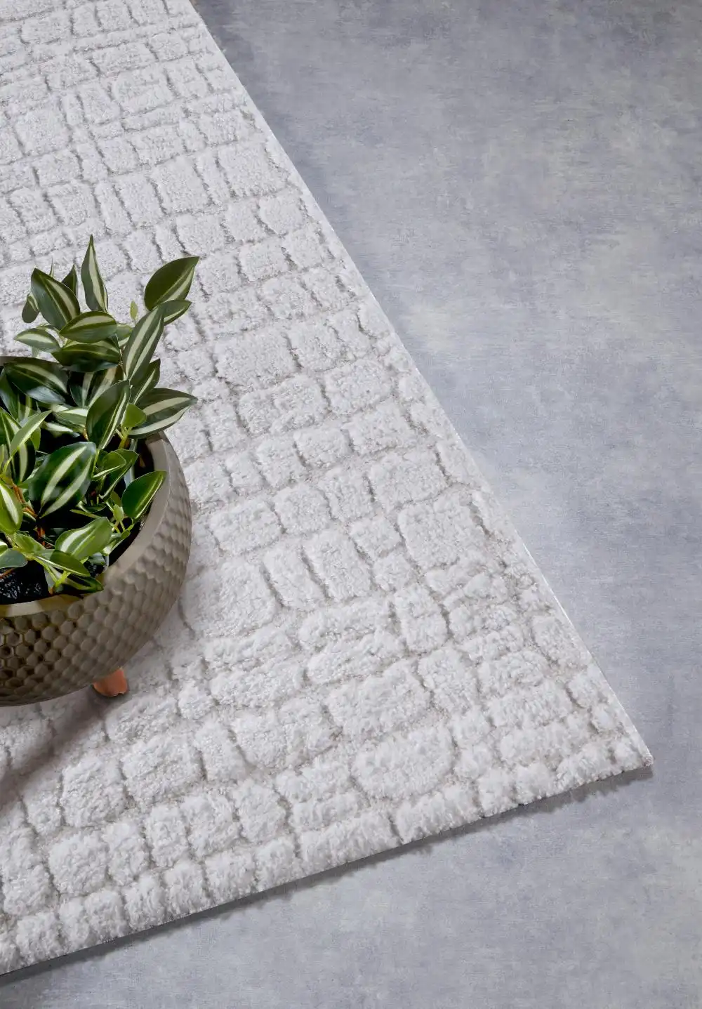 Elle Gallery 106098 Cream White Rug - Image 2