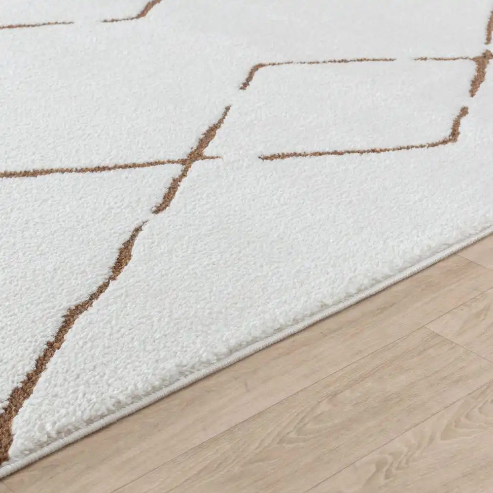 Hannah Berber Modern High Pile Ivory/Brown Rug - Image 3