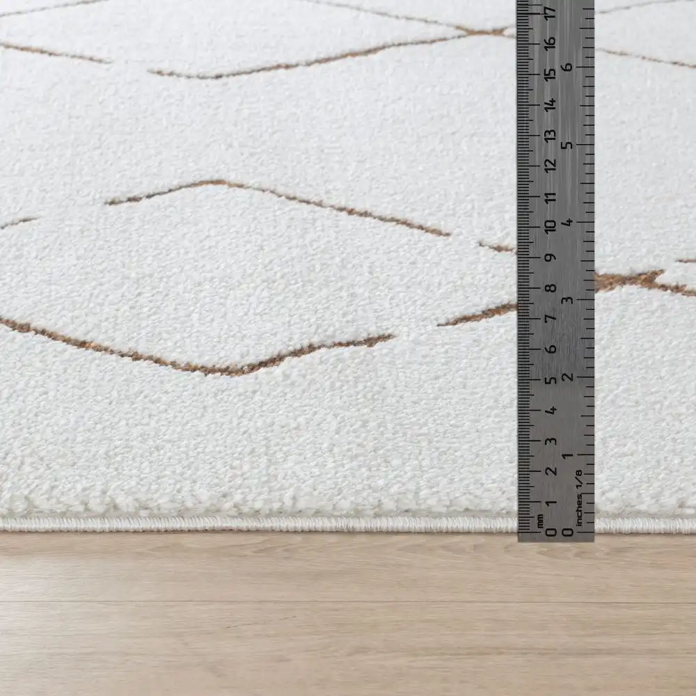 Hannah Berber Modern High Pile Ivory/Brown Rug - Image 4