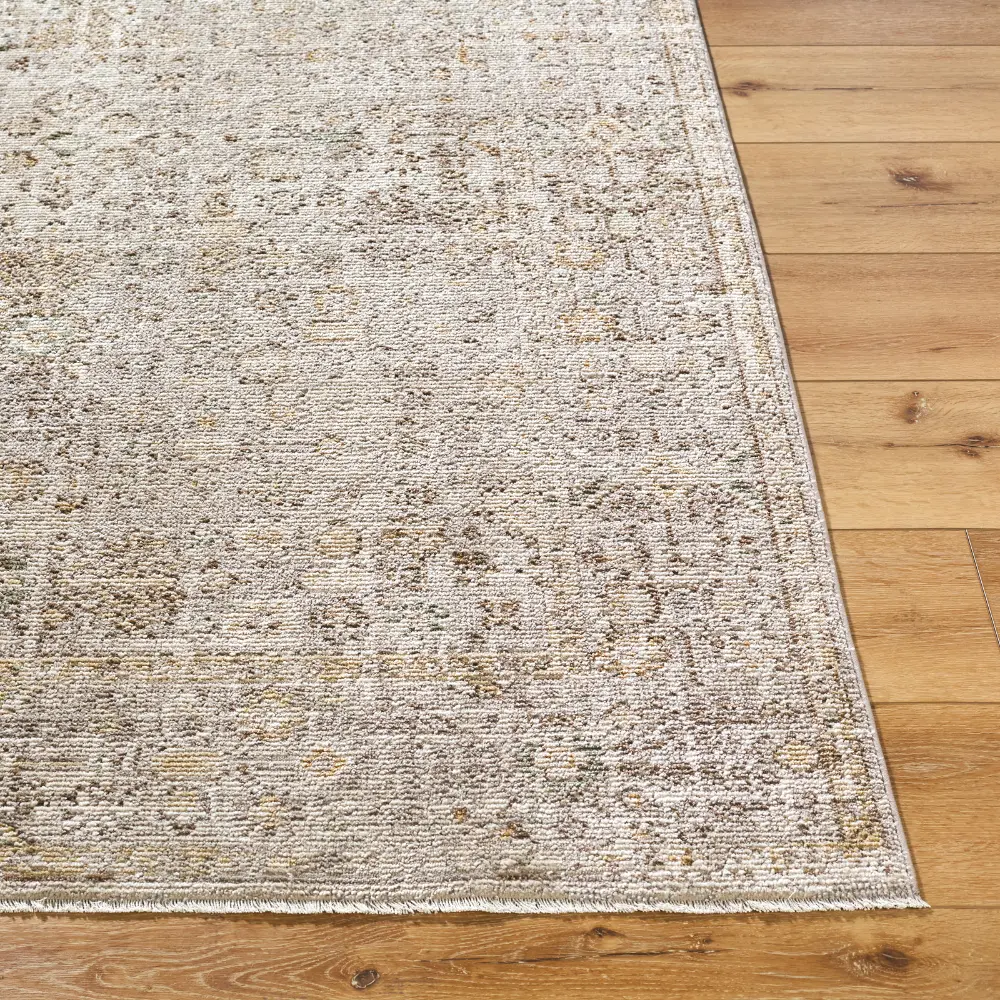 Myrtle Avenue I Galey Alix X Livabliss Vintage Oriental Boho Taupe/Cream Rug - Image 5