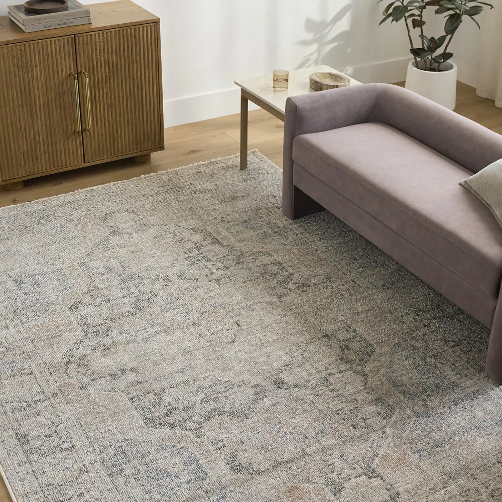 Galey Alix Maria Elena III-Vintage Brown Beige Blue Traditional Fringe Living Dining Bedroom Rug GADA2303 - Image 2