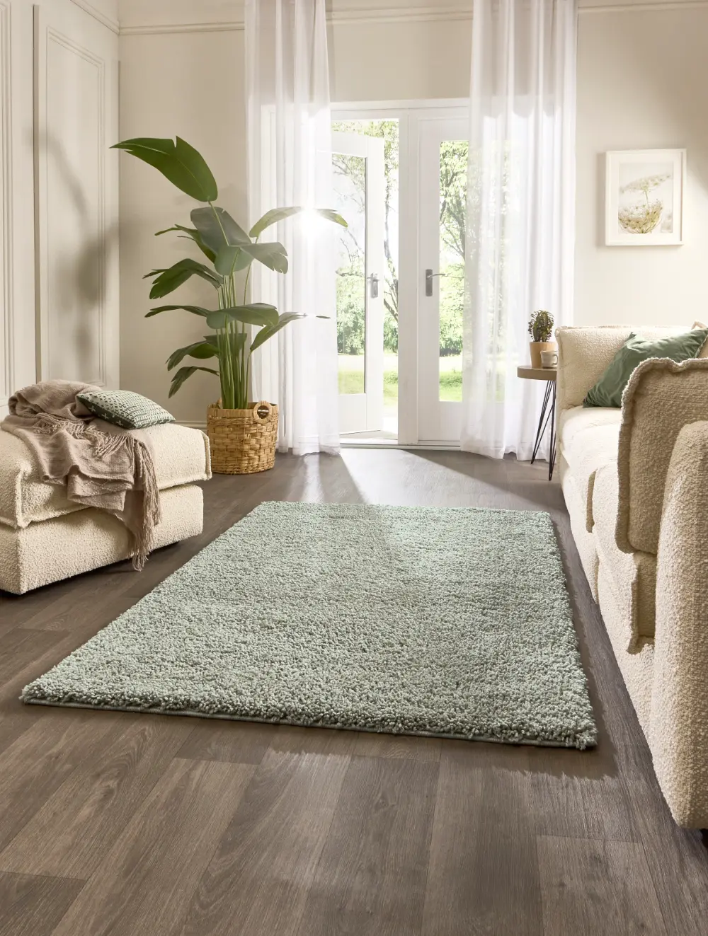 Hadley Eucalyptus - Image 4