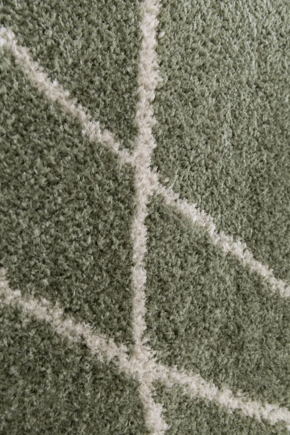 HALO Squiggle Sage - Image 7