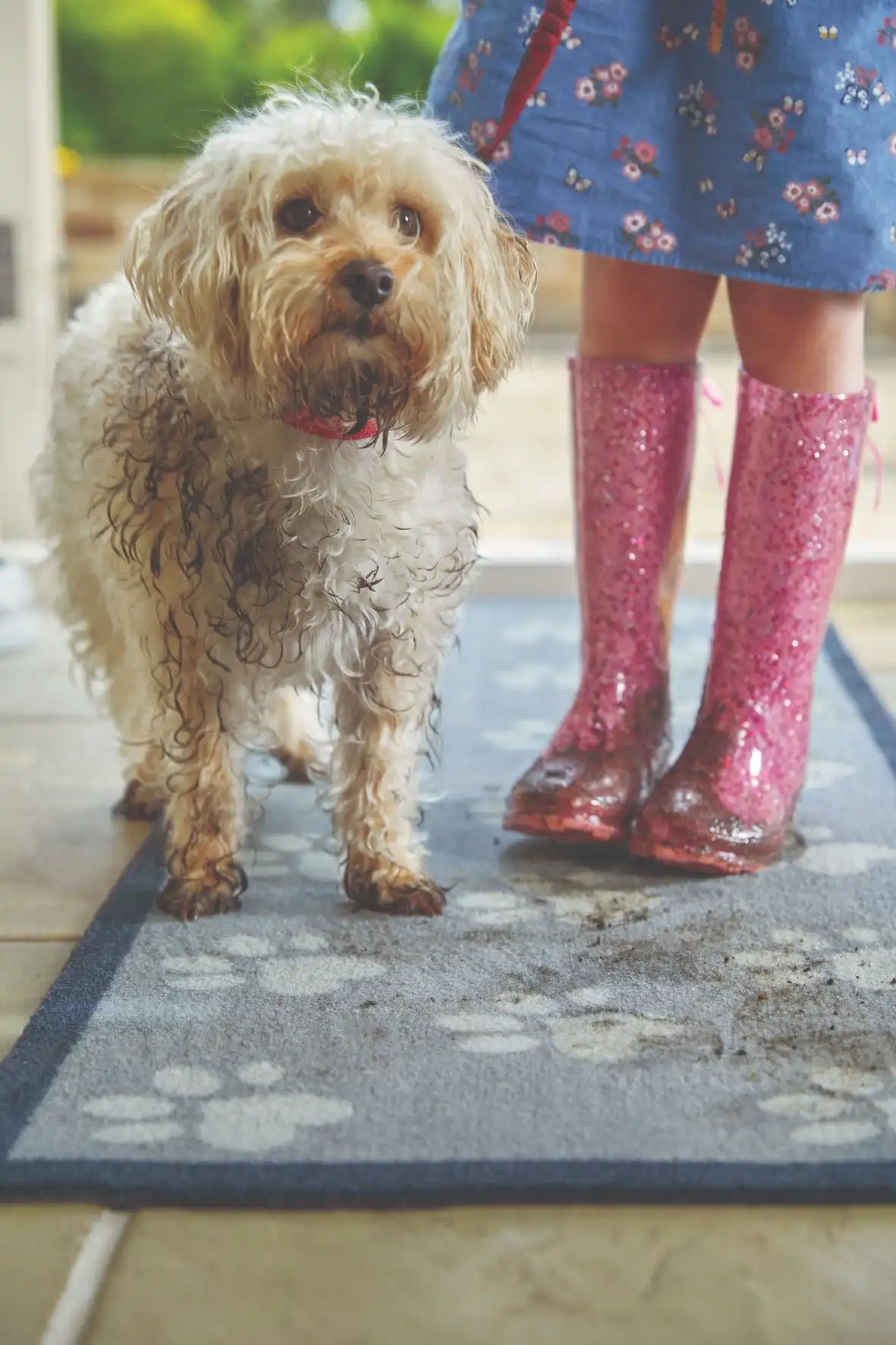 Howler & Scratch Big Paw 1 Rug - Image 4