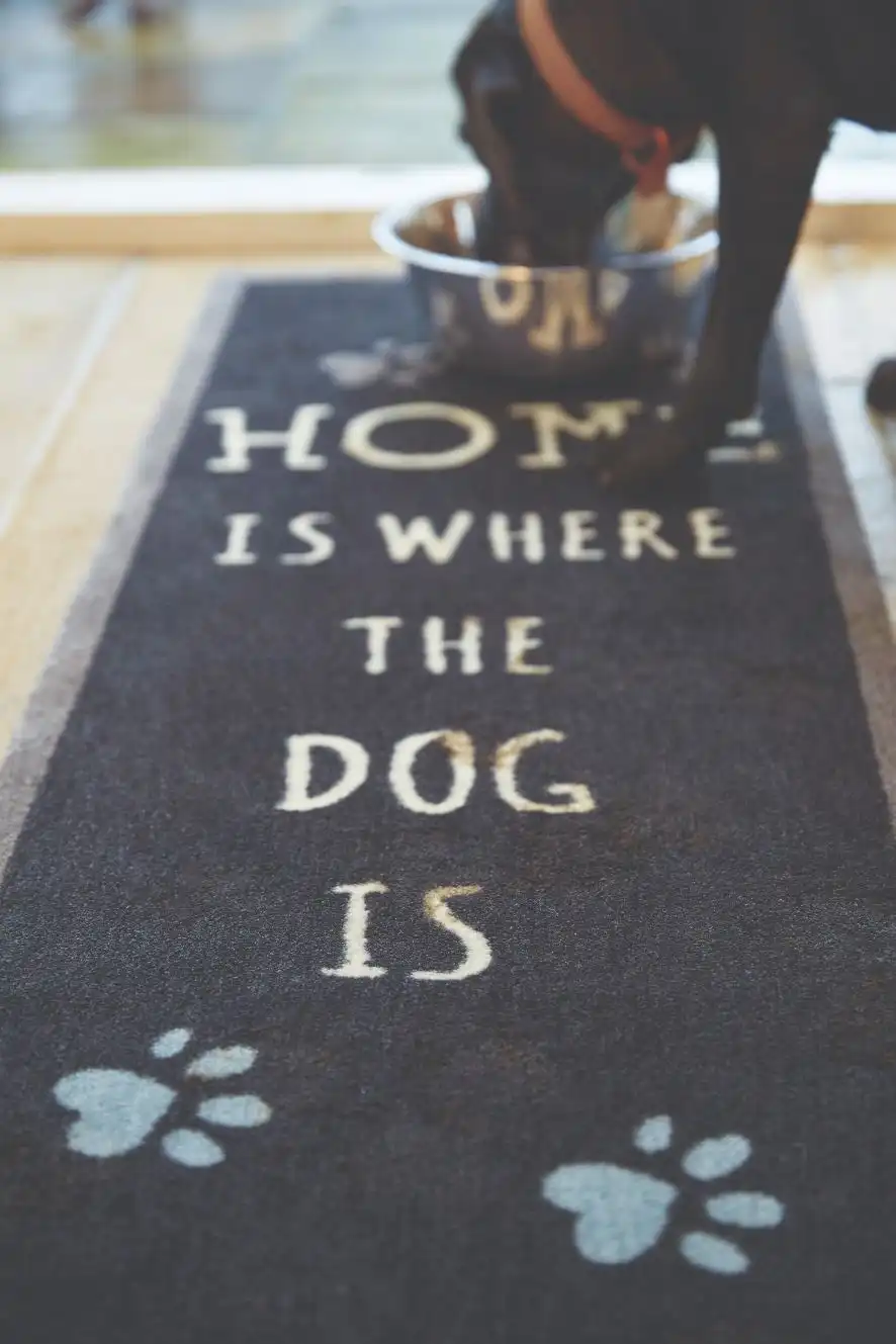 Howler & Scratch Home 2 Rug - Image 3