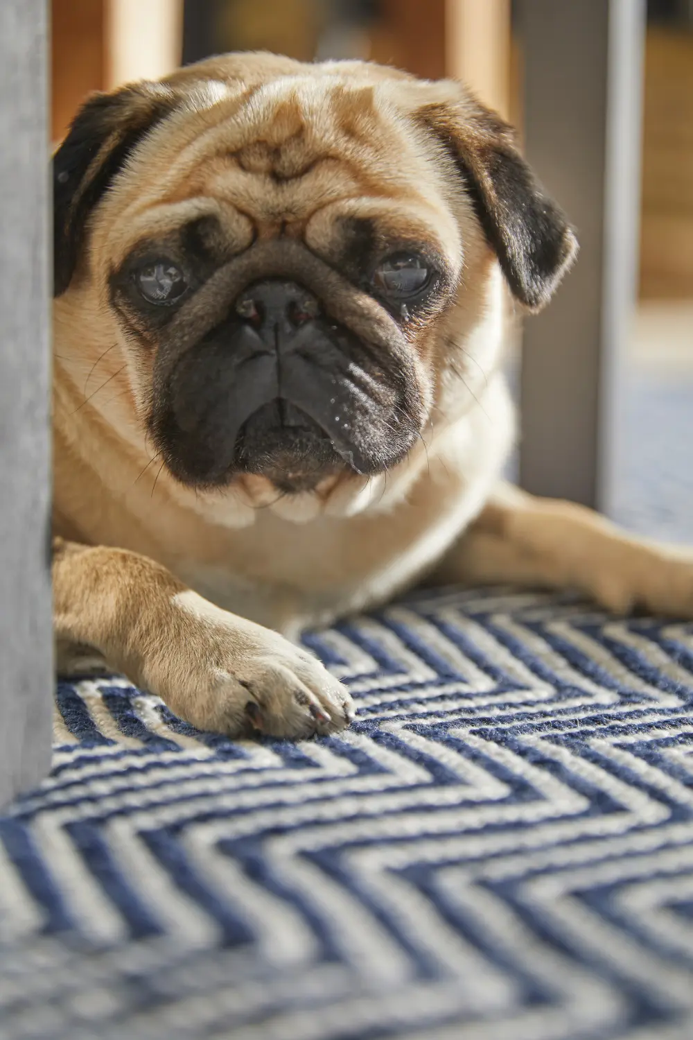 Hug Woven Herringbone Navy Rug - Image 2