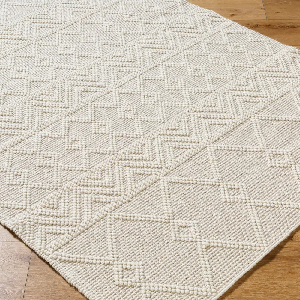 Ishani Hand-Woven Global Wool Beige Rug - Image 2