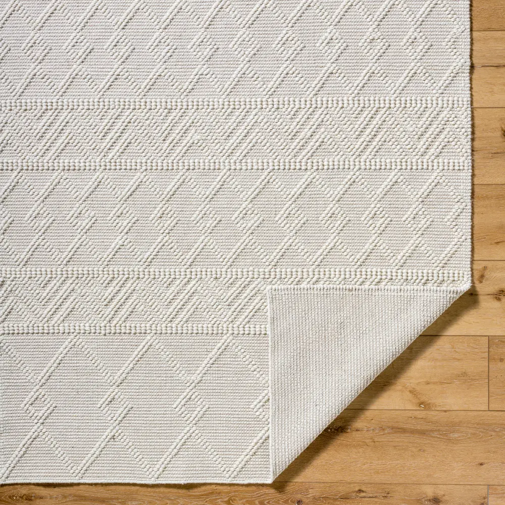 Ishani Hand-Woven Global Wool Beige Rug - Image 3