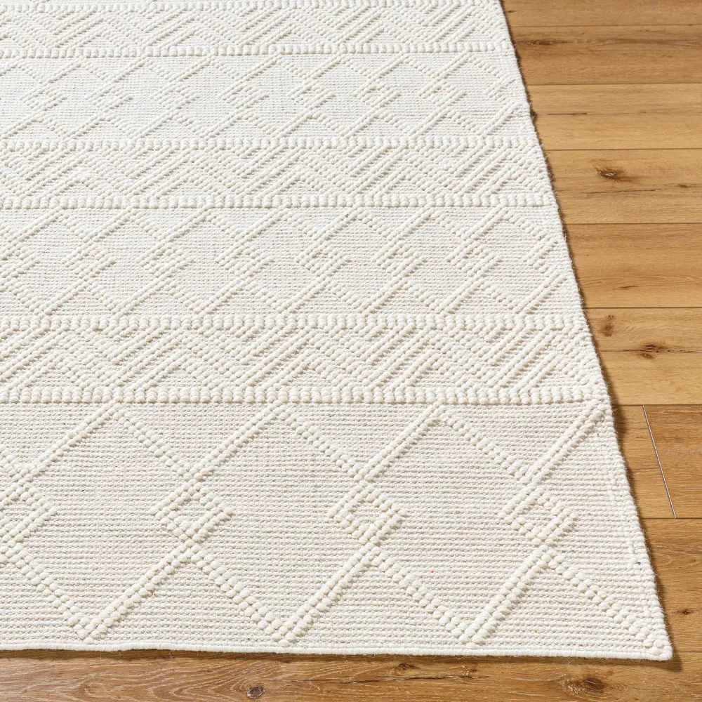 Ishani Hand-Woven Global Wool Beige Rug - Image 4