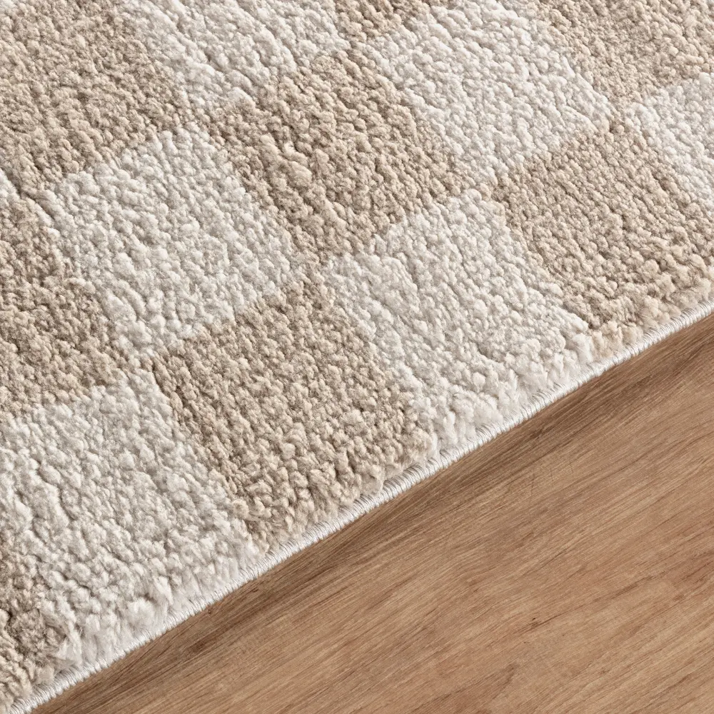 Izaline Machine Washable Checkered Shaggy Beige Rug - Image 4