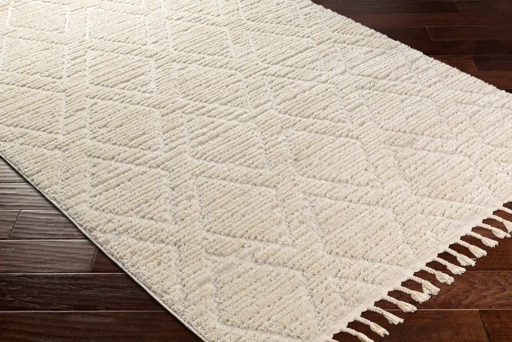 Jasmine Berber Geometric High Pile Beige Rug - Image 2