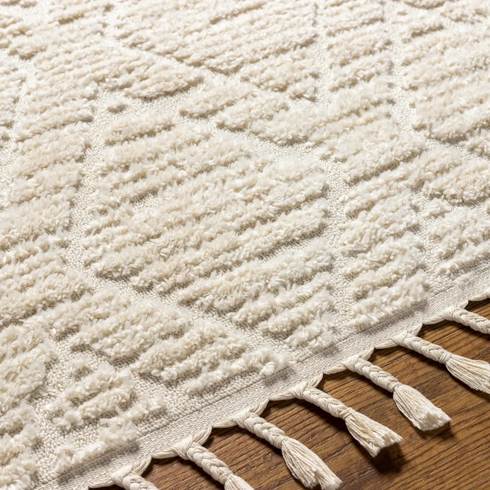 Jasmine Berber Geometric High Pile Beige Rug - Image 4