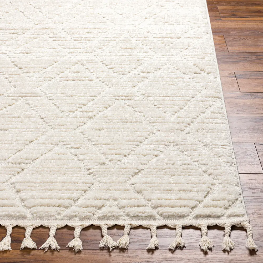 Jasmine Berber Geometric High Pile Beige Rug - Image 5