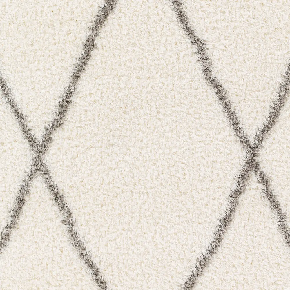 Juno Shaggy Modern Plush Pile Ivory Rug - Image 6