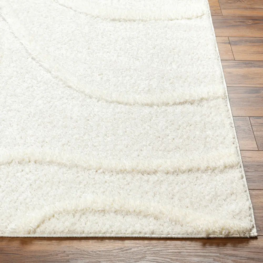 Kotira Shaggy Modern Plush Pile Beige Rug - Image 2