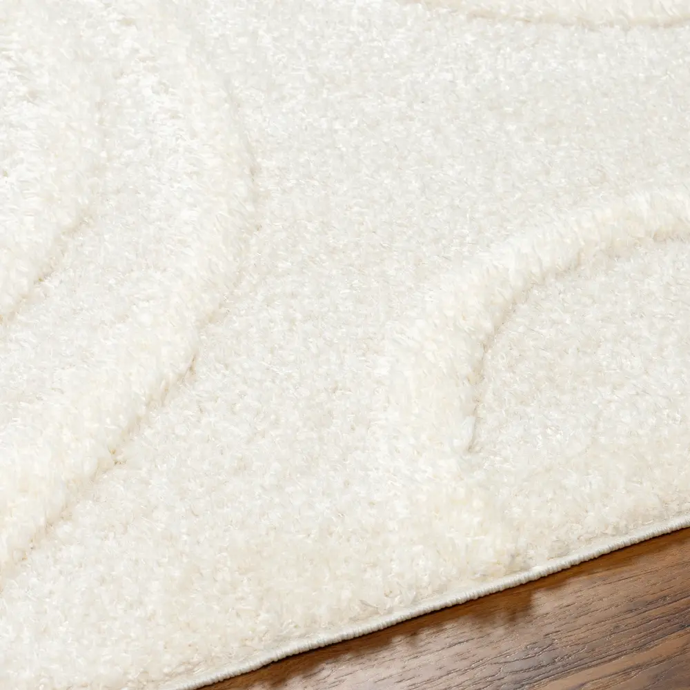 Kotira Shaggy Modern Plush Pile Beige Rug - Image 3