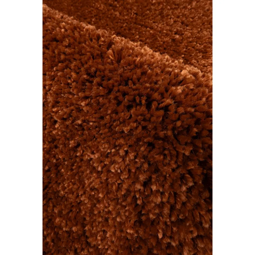 Luxury Shaggy Terra - Image 2