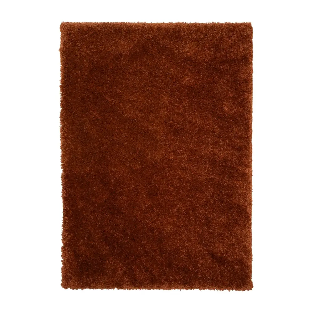Luxury Shaggy Terra - Image 3