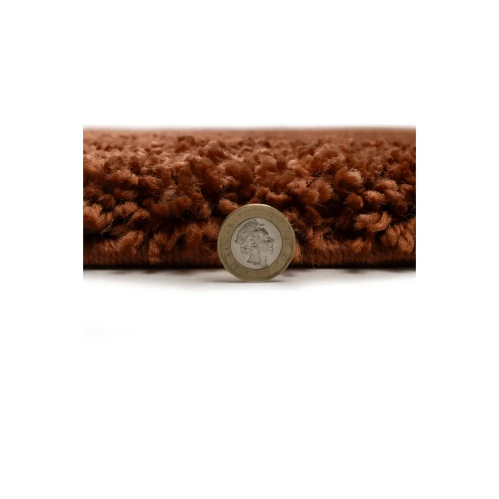 Luxury Shaggy Terra - Image 5