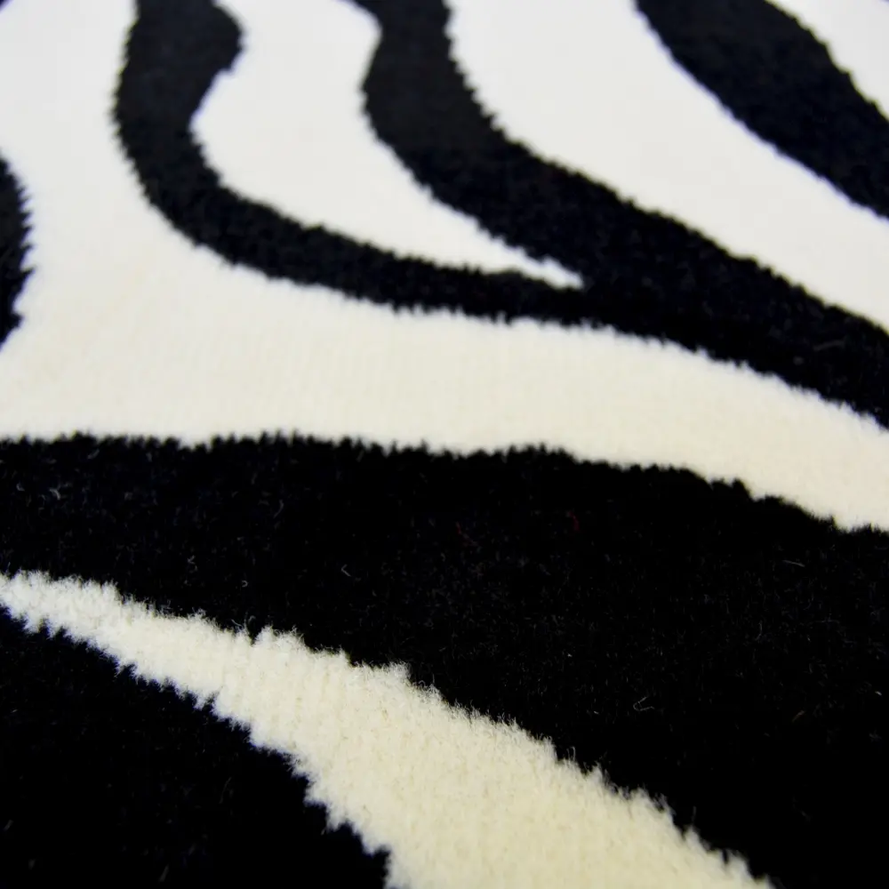 Maestro Zebra - Image 2