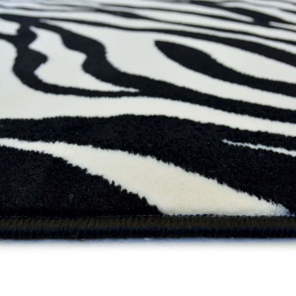 Maestro Zebra - Image 3