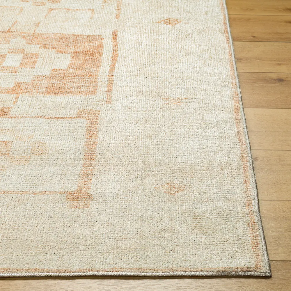 Solana Becki Owens X Livabliss Global Berber Apricot Rug - Image 4