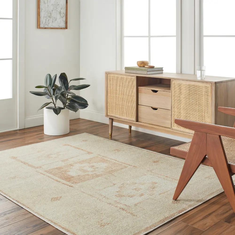 Solana Becki Owens X Livabliss Global Berber Apricot Rug - Image 6