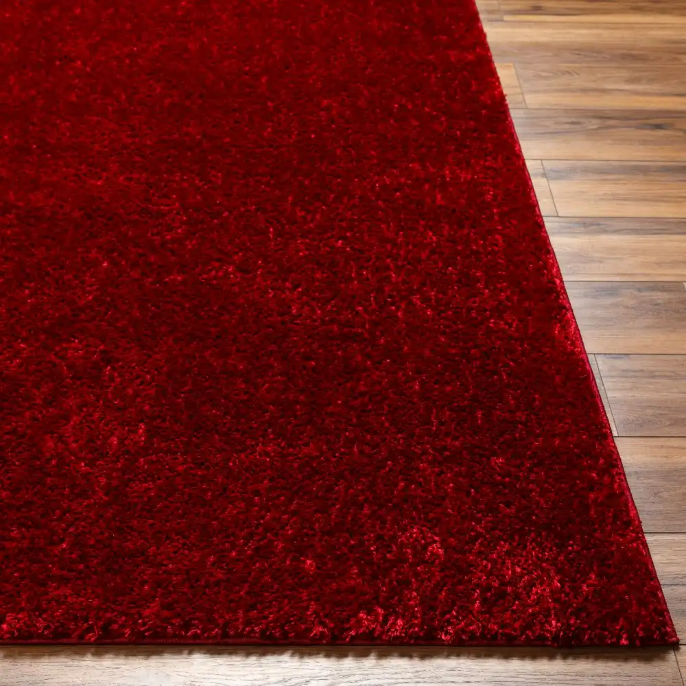 Claire Shaggy Solid Color Plush Pile Cherry Rug - Image 2