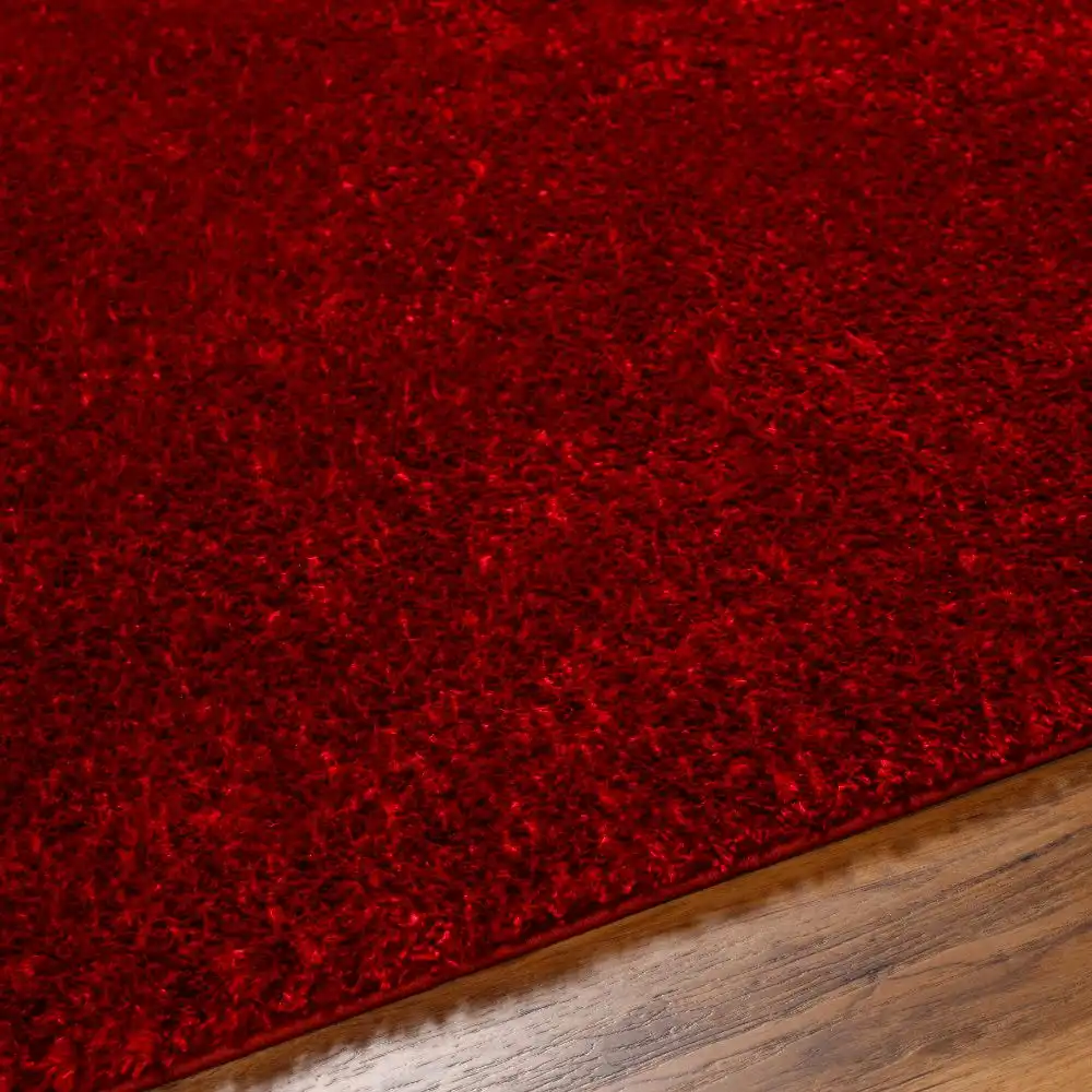 Claire Shaggy Solid Color Plush Pile Cherry Rug - Image 6