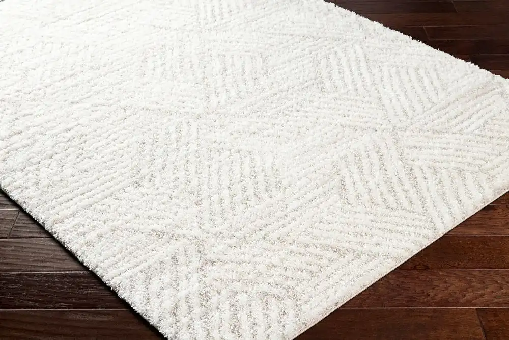 Allie Shaggy Geometric Plush Pile Beige Rug - Image 5