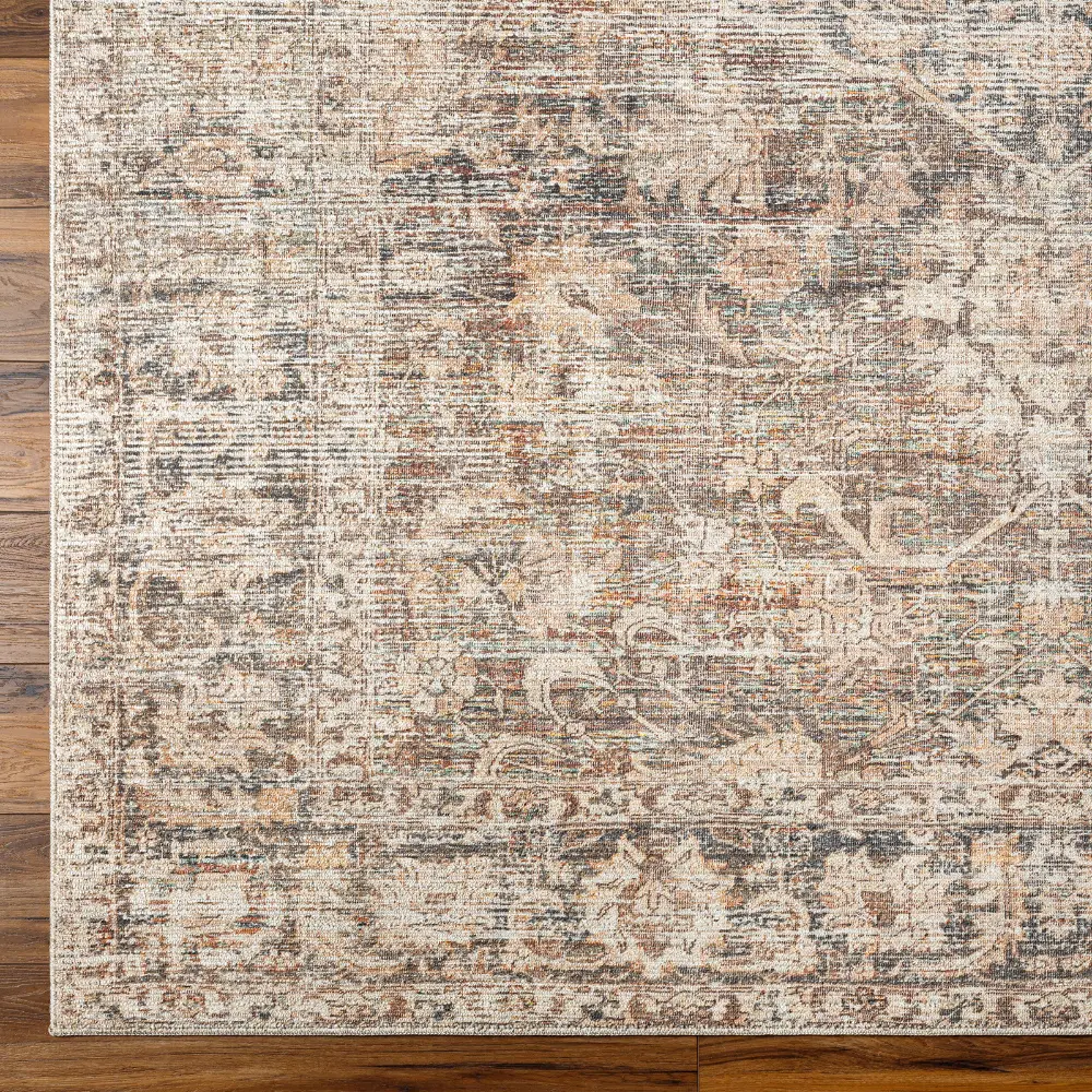 Marlene Becki Owens X Livabliss Vintage Oriental Boho Taupe Rug - Image 10