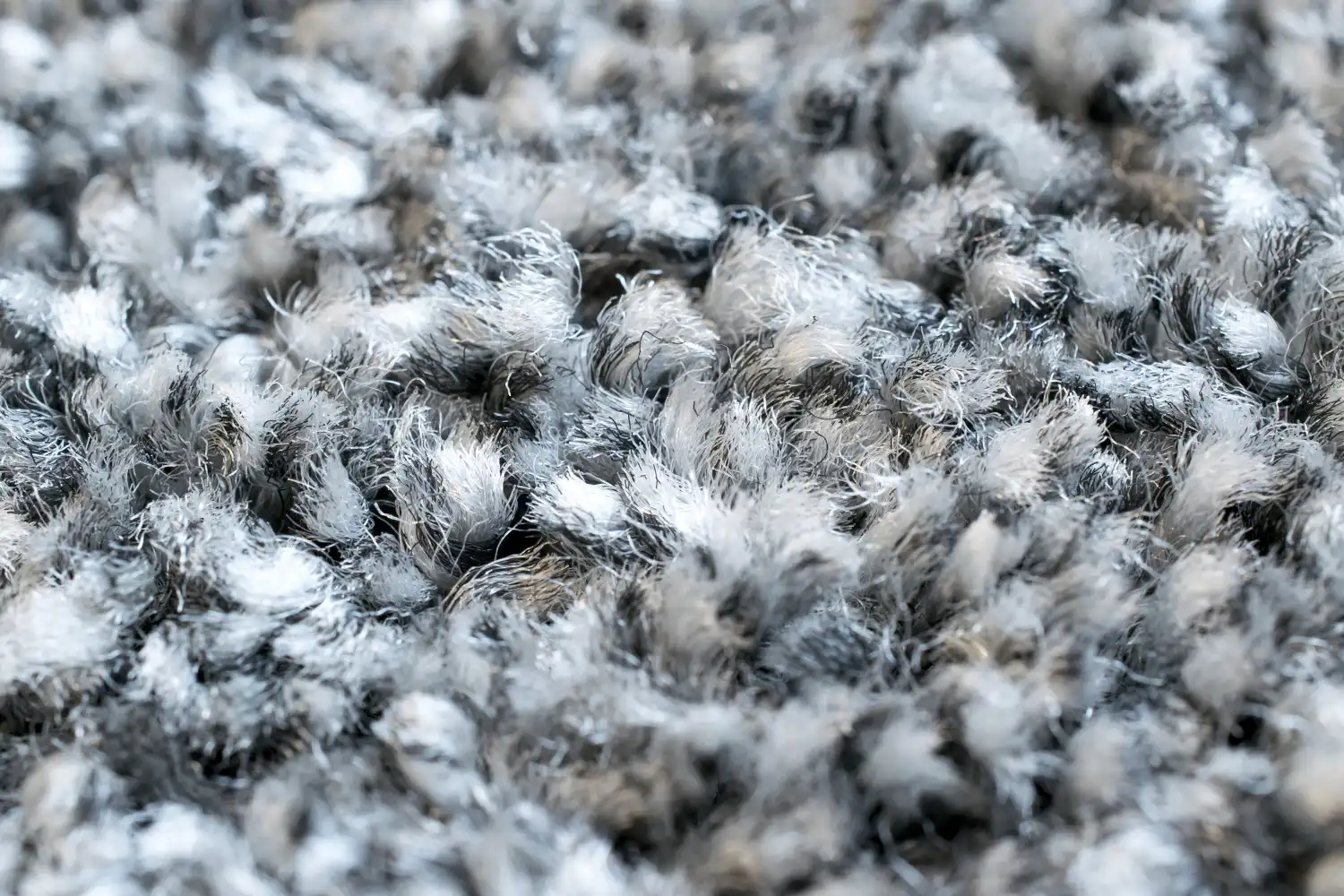 Mehari 023 0001 4248 Rug - Image 3