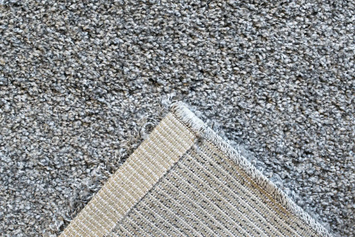 Mehari 023 0001 4248 Rug - Image 6