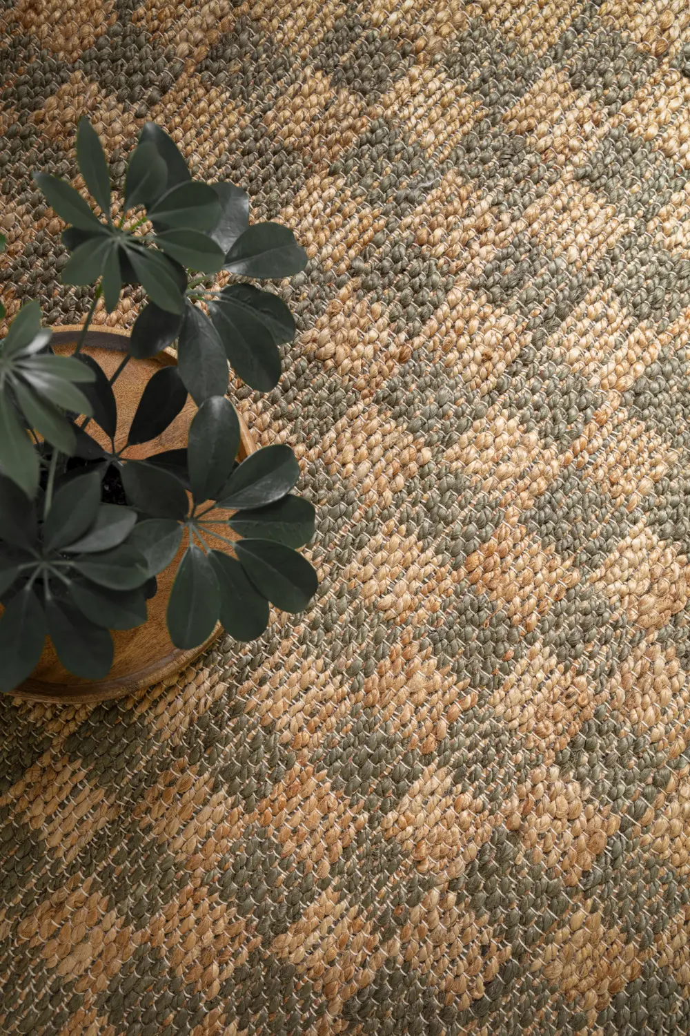 Naturi Olive Green - Image 7