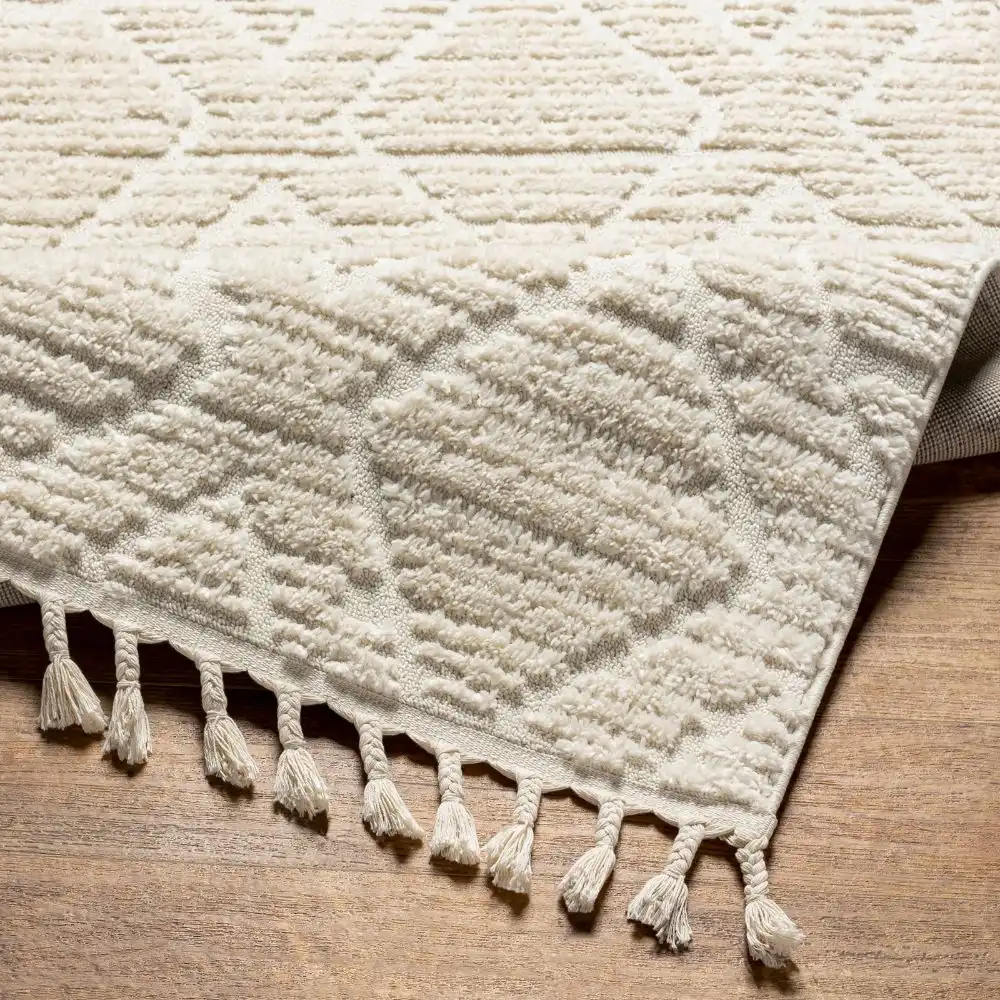 Jasmine Berber Geometric High Pile Beige Rug - Image 4