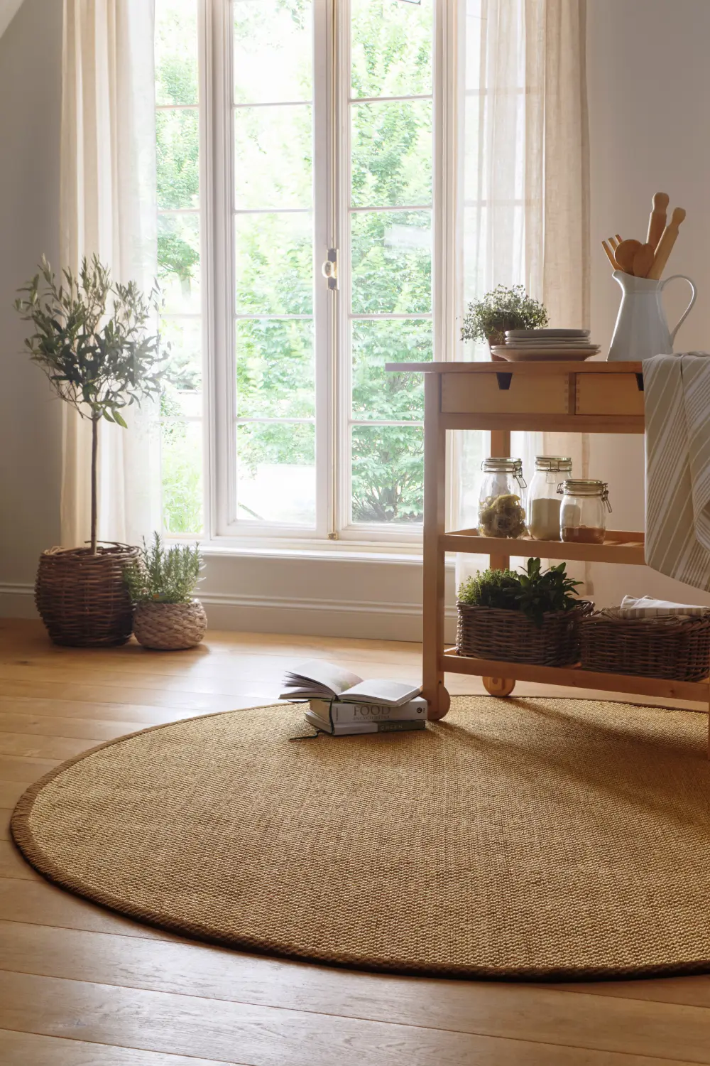 Origins Sisal Warm Natural with Dark Brown Border Rug - Image 4