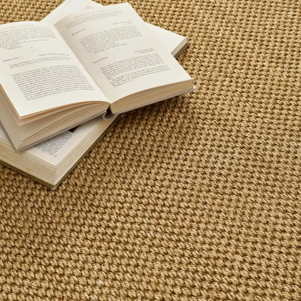 Origins Sisal Warm Natural with Dark Brown Border Rug - Image 6