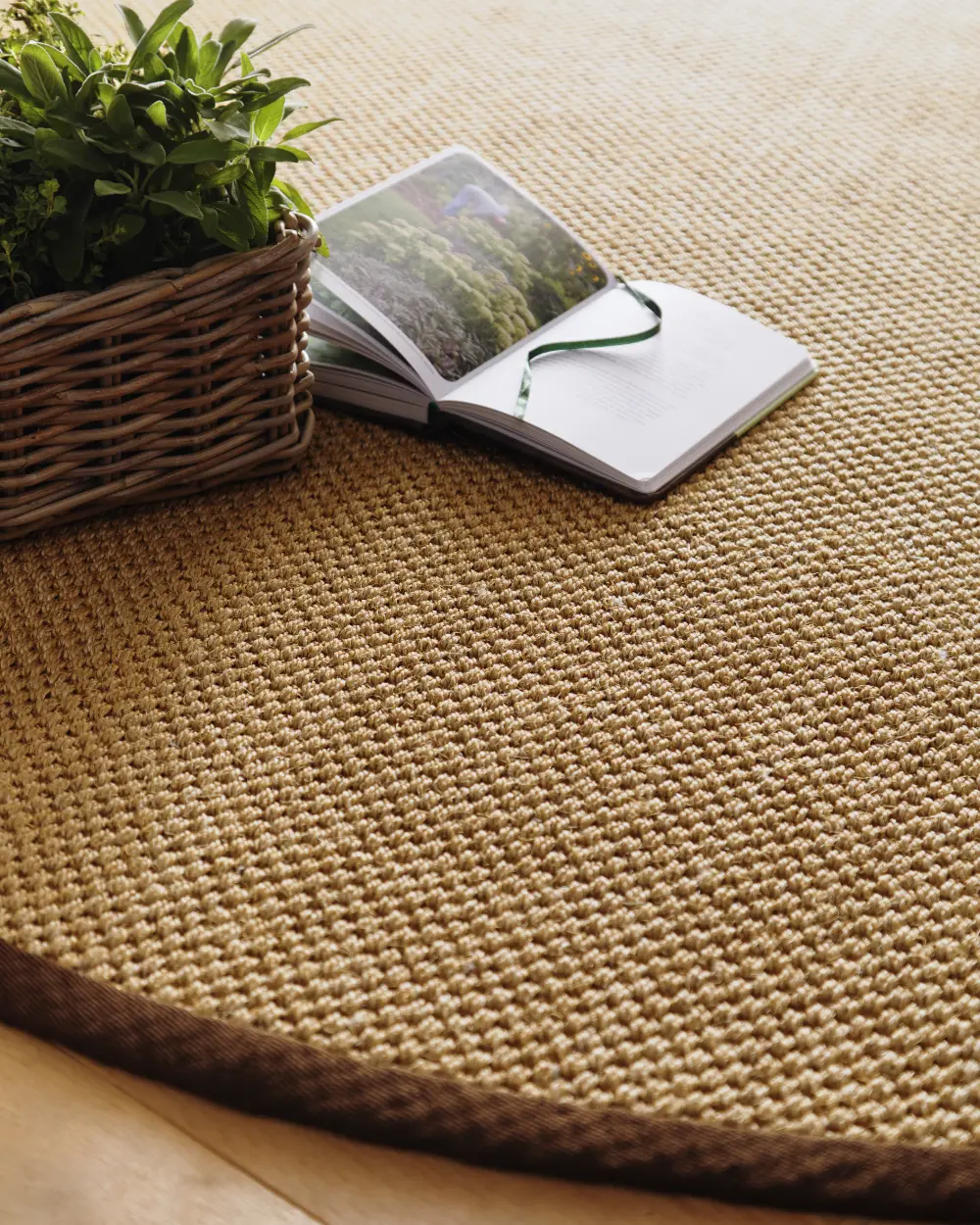 Origins Sisal Warm Natural with Dark Brown Border Rug - Image 8
