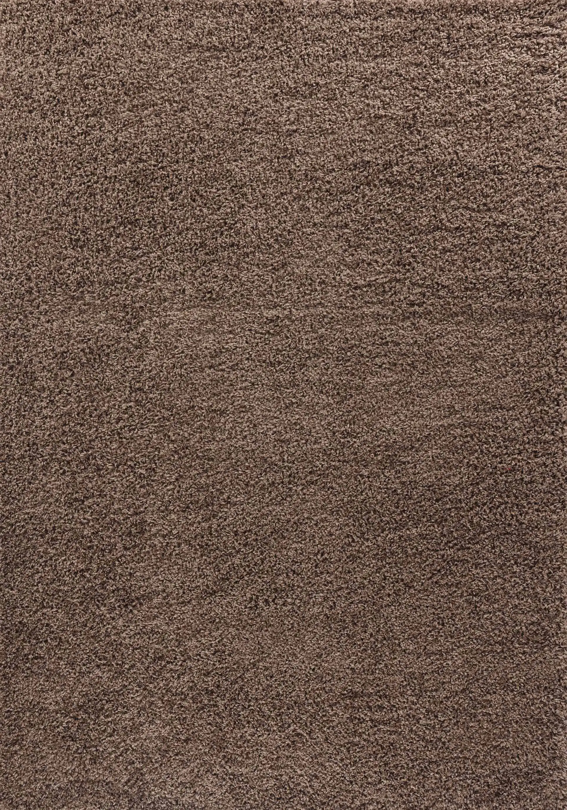 Oxford 912 Dark Beige Rug - Image 2