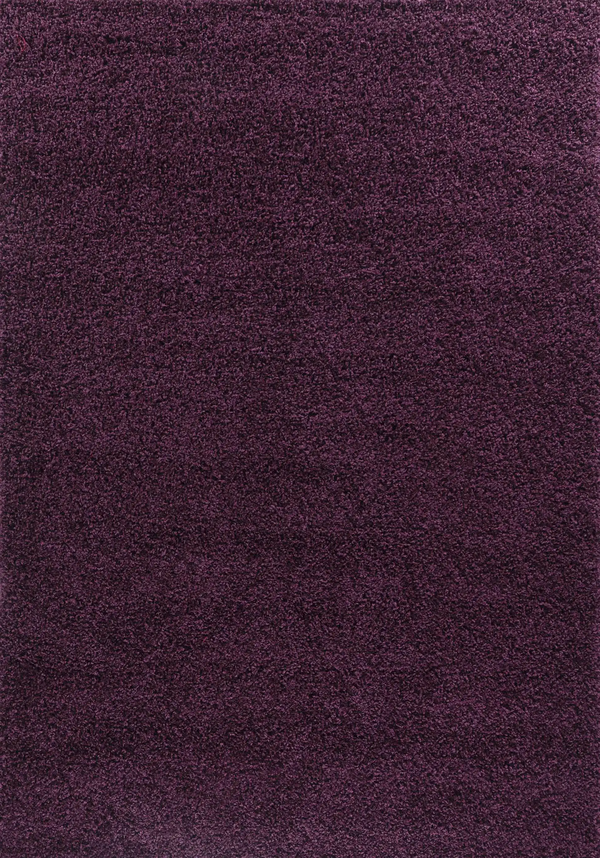 Oxford 912 Violet Rug - Image 3