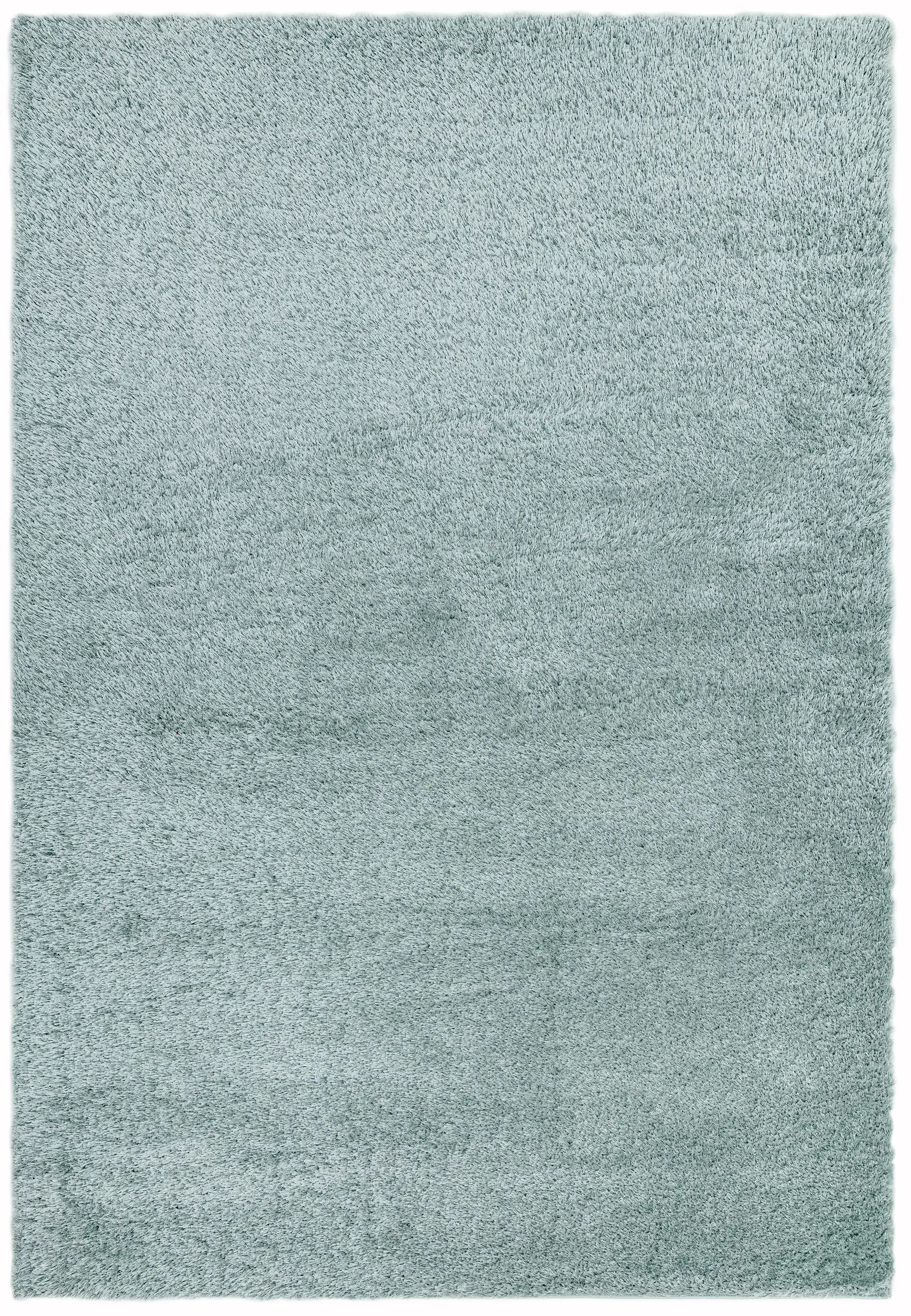 Payton Duck Egg Rug - Image 3