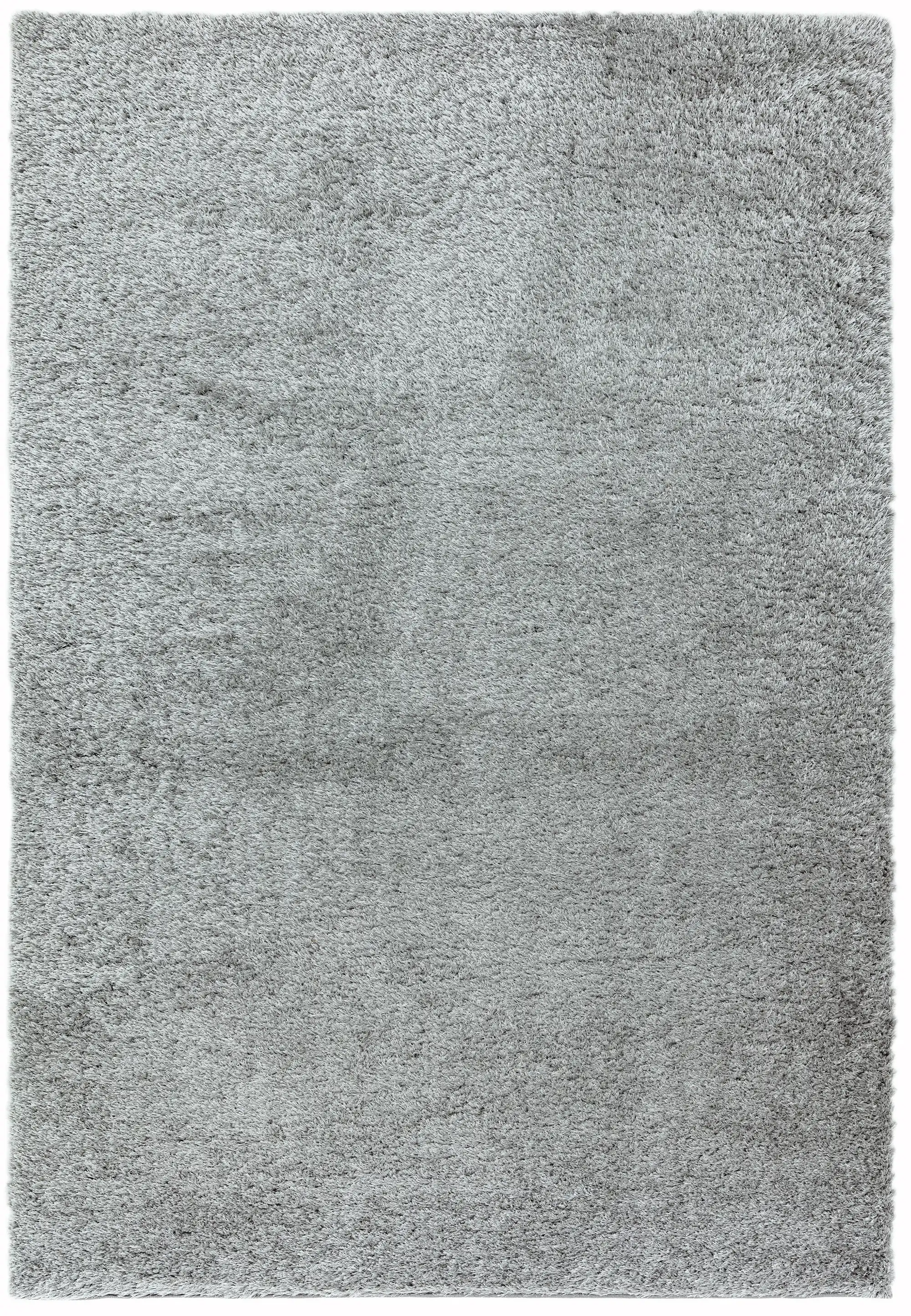 Payton Silver Rug - Image 2