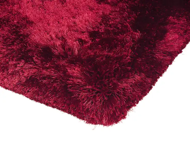 Plush Plush-Red Rug - Image 4