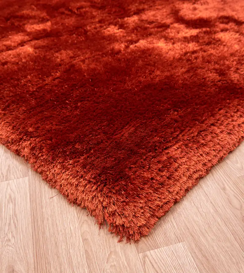Plush Plush-Rust Rug - Image 3