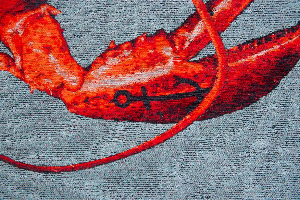 Pop by Louis 9389 Lobster Steam Red Washable Rug - Image 6
