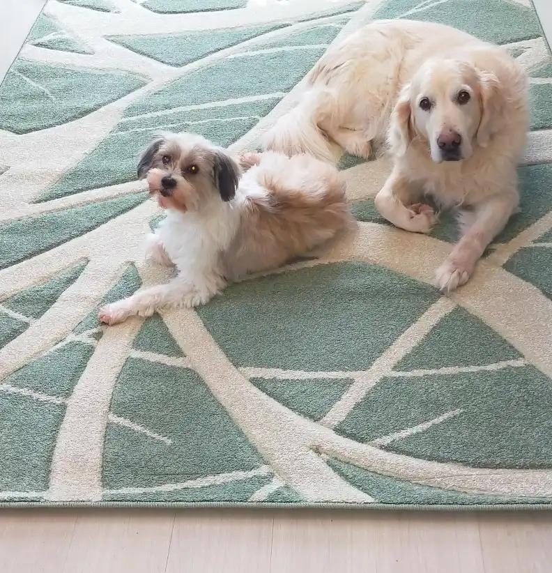 Portland 57 G Rug - Image 5