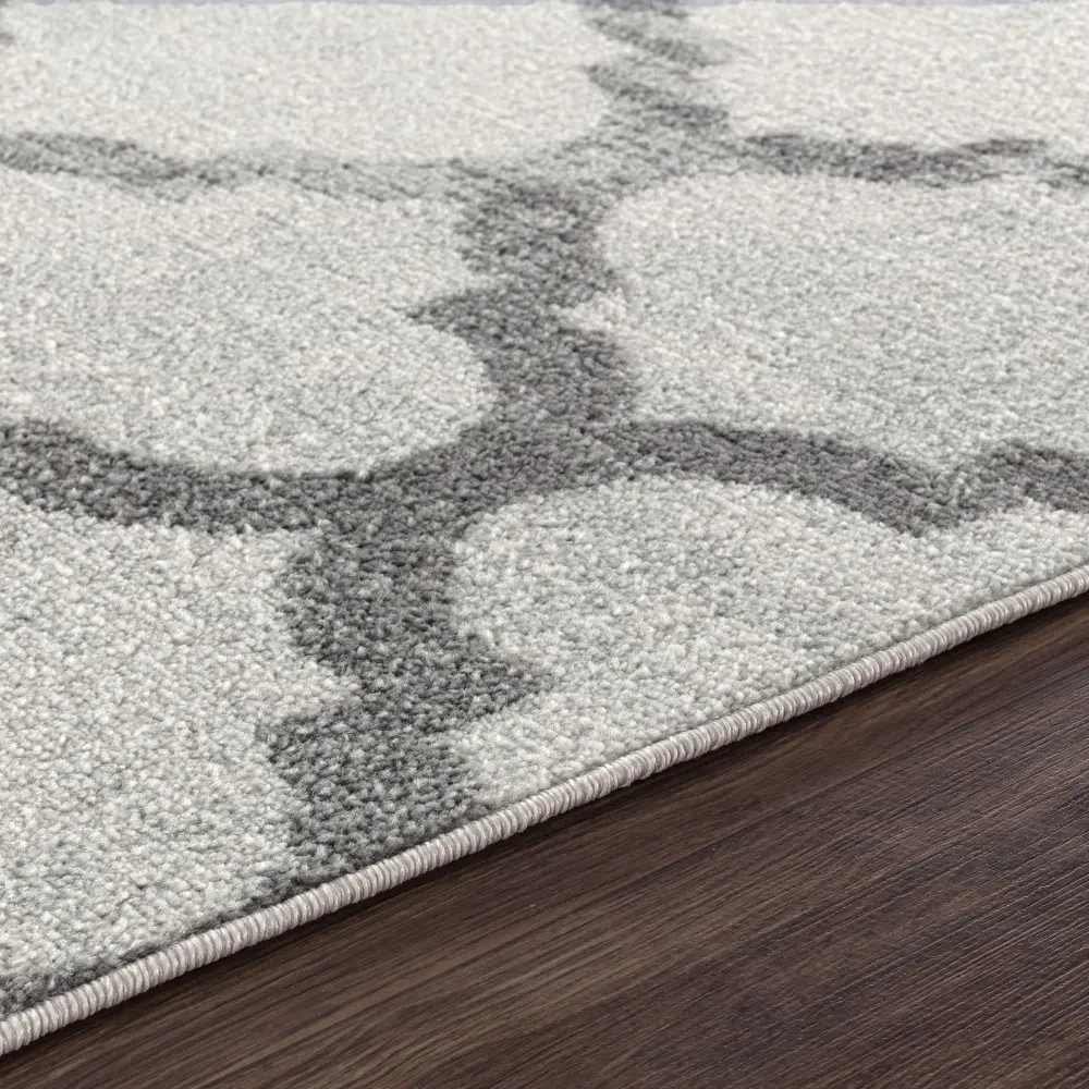 Quinn Vintage Oriental Boho Grey White Rug - Image 3