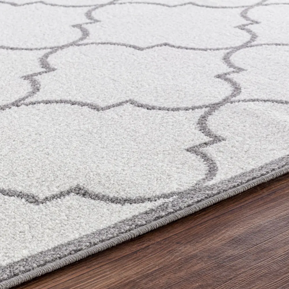 Quinn Vintage Oriental Boho White Rug - Image 7